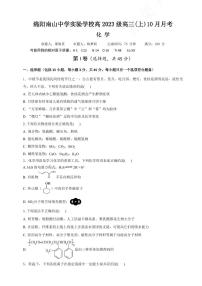 四川省绵阳南山中学2026届高三上学期10月月考化学试卷+答案