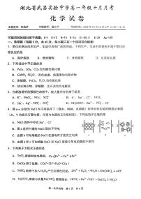 湖北省武汉市武昌实验中学2025-2026学年高一上学期10月考化学试卷（扫描版附答案）