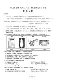 重庆市好教育联盟2026届高三上学期10月联考化学试卷（PDF版附答案）