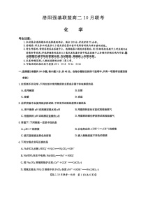 河南洛阳强基联盟联考2025-2026学年高二上学期10月考试化学试卷