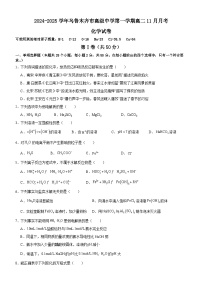 新疆乌鲁木齐市高级中学2024-2025学年高二上学期11月月考+化学试卷+