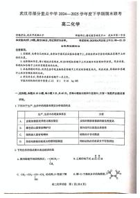 湖北省武汉市部分重点中学2024-2025学年高二下学期期末联考化学试卷（含答案）