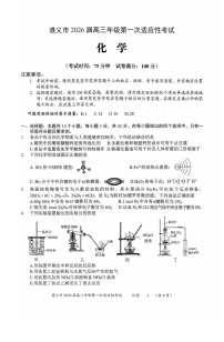 贵州省遵义市2025-2026学年高三上学期高考10月考试化学试卷