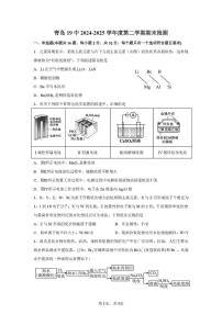 山东省青岛第十九中学2024-2025学年高一下学期期末检测 化学试题