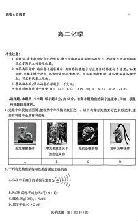湖南省部分校2025-2026学年高二上学期10月联考化学试题（月考）