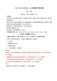 2025年高一化学上学期期中模拟卷01(含答案解析) (鲁科版)