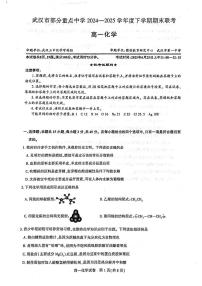 湖北省武汉市部分重点中学2024-2025学年高一下学期期末联考化学试卷