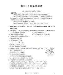 福建省部分学校2026届高三上学期10月联考试题 化学 PDF版含答案