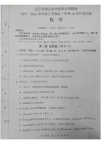 辽宁省沈阳市重点高中郊联体2026届高三上学期10月月考试题 化学 PDF版含解析