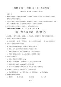 山东省潍坊市诸城繁华中学2025-2026学年高一上学期10月月考化学试题（月考）