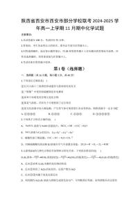 陕西省西安市部分学校联考2024-2025学年高一上学期11月期中考试 化学试题（含答案）