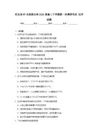 2025年河北省NT名校联合体高三下学期第一次调研考试化学试题（附答案解析）