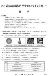广东省清远市2025-2026学年高三上学期10月教学质量检测（一）化学试卷（PDF版附解析）