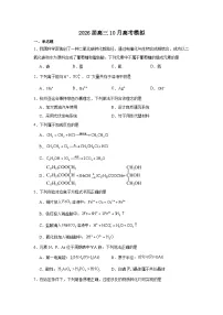 江苏省南京市第一中学2025-2026学年高三上学期10月月考化学试卷（Word版附解析）