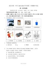 广东茂名一中2025-2026学年高一上学期10月期中考试化学试题（含答案）