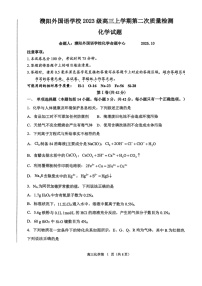 河南省濮阳外国语学校2025-2026学年高三上学期10月月考化学试卷