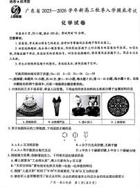 广东省上进联考2025-2026学年新高三秋季入学摸底考试化学试卷