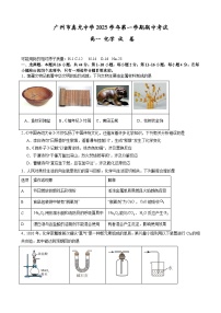 广东省广州市真光中学2025-2026学年高一上学期11月期中考试+化学试题
