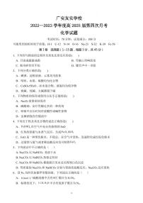 四川省广安友实学校2022-2023学年高一上学期第四次月考化学试题