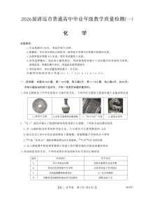 广东省清远市2026届高三上学期10月一模考试化学试题（高考模拟）