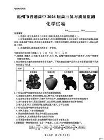 河北省沧州市普通高中2026届高三上学期复习质量检测化学试卷(无答案)