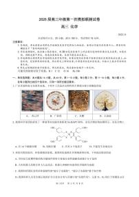 2026届深圳高考一模联测化学试题+答案