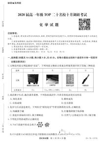 河南省TOP二十名校2025-2026学年高一上学期10月调研考试化学试卷