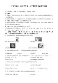 广东省2024-2025学年高一上学期期中考试化学试题含答案