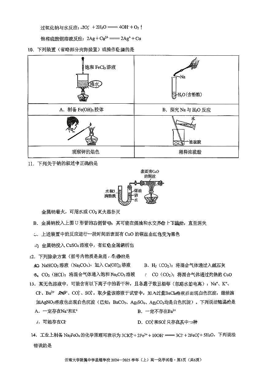 云南大学附属中学星耀学校2025-2026学年高一上学期与考化学试卷(月考)第3页
