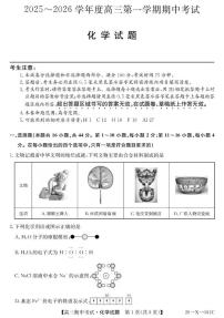 广东省金太阳2026届高三上学期11月期中考（26-X-081C）化学试卷+答案