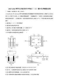 2025-2026学年江苏省苏州中学高二（上）期中化学模拟试卷-自定义类型