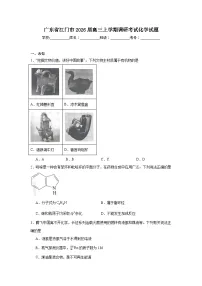 2025-2026学年广东省江门市高三上学期调研考试化学试题（无答案）