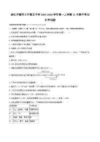 吉林省通化市梅河口市第五中学2025-2026学年高一上学期11月期中考试化学试题（含答案）
