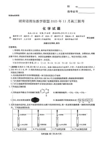 湖南省湘东教学联盟2026届高三上学期11月联考化学试题(有答案)