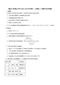 吉林省梅河口市第五中学2025-2026学年高一上学期11月期中考试化学试题（Word版附答案）