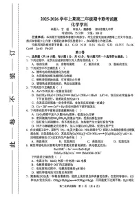 河南省郑州市十校联考2025-2026学年高二上学期11月期中化学试题