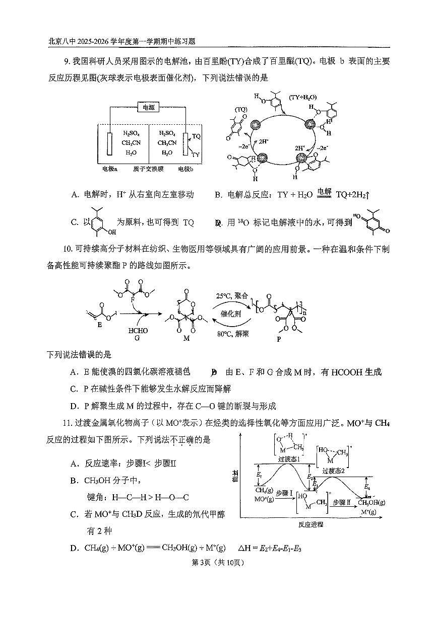 2025北京八中高三(上)期中化学试卷第3页