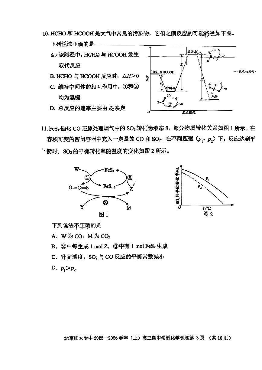 2025北京北师大附中高三(上)期中化学试卷第3页