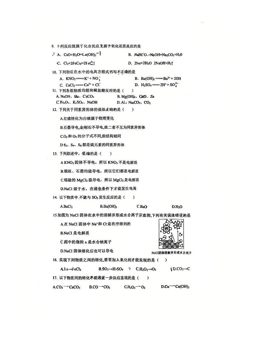 北京市牛栏山第一中学板桥学校2025~2026学年高一上月考化学试卷(含答案)第2页
