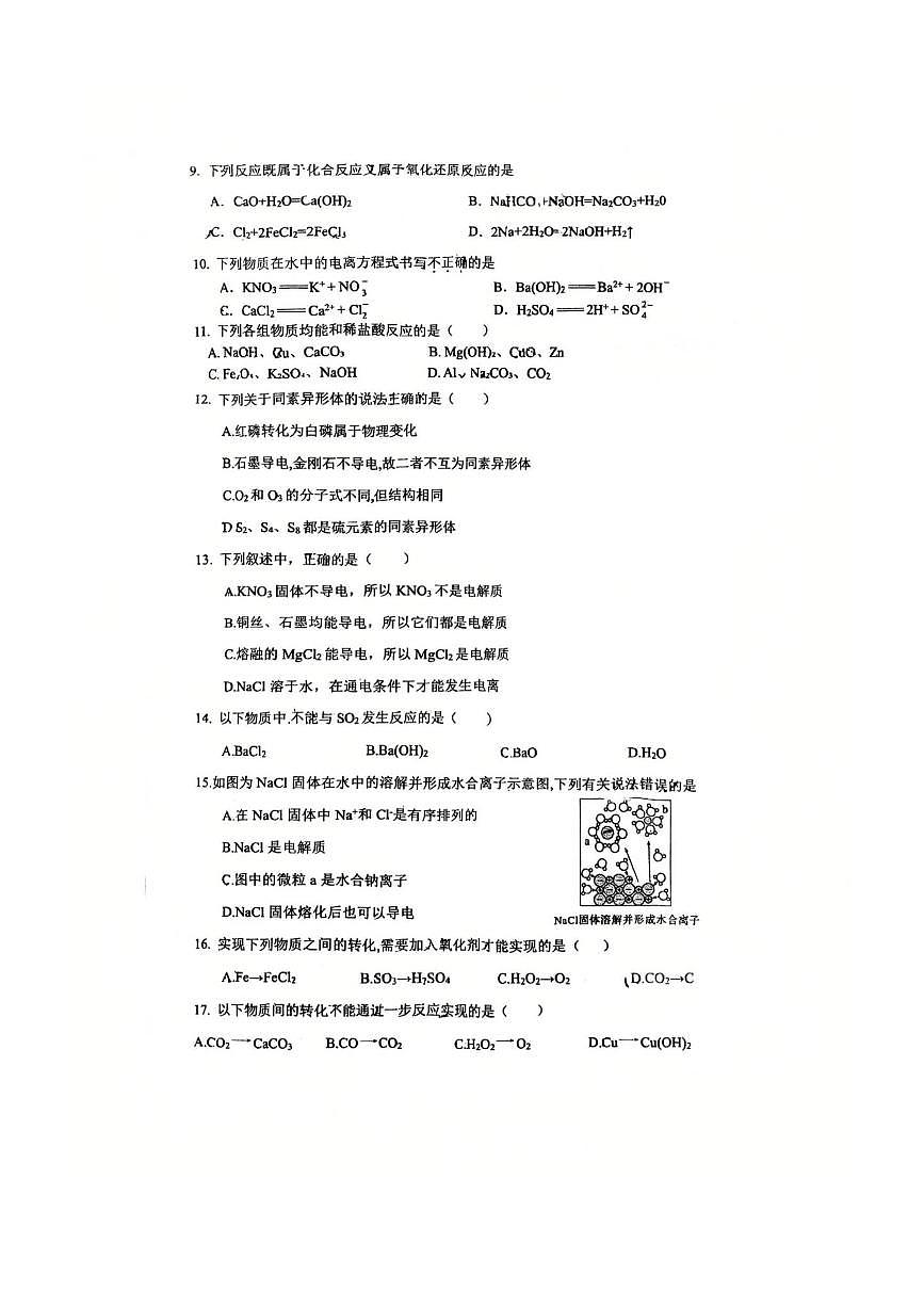 北京市牛栏山第一中学板桥学校2025~2026学年高一上月考化学试卷(含答案)第3页