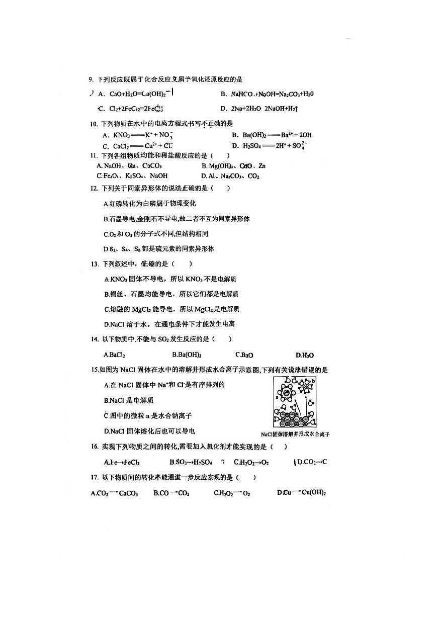 北京市牛栏山第一中学板桥学校2025~2026学年高一上月考化学试卷(无答案)第2页