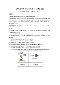广西南宁市2026届高三上10月摸底考试化学试卷（学生版）