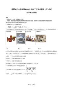 四川省绵阳南山中学2024-2025学年高三下学期高考模拟（五)化学试题（高考模拟）