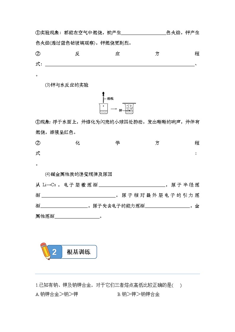 4.1.3 原子结构与元素性质——碱金属元素——高一化学人教版(2019)必修一精品同步分层练第2页