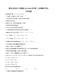 黑龙江省龙东十校联盟2025-2026学年高二上学期期中考试 化学试题（含答案）