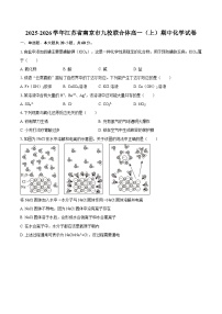 2025-2026学年江苏省南京市九校联合体高一(上)期中化学试卷-自定义类型