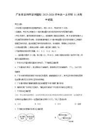 广东省深圳市深圳盟校2025-2026学年高一上学期11月期中化学试题（学生版）