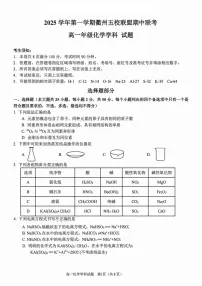浙江衢州五校联盟2025-2026学年高一上学期11月期中考试化学试卷