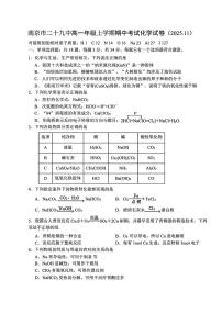 江苏省南京市第二十九中学2025-2026学年高一上学期11月期中化学试题