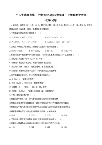 广东省珠海市第一中学2025-2026学年高一上学期期中考试 化学试卷（含答案）